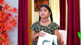 Paape Maa Jeevana Jyothi S01E434 Kutti Is Cornered Full Episode