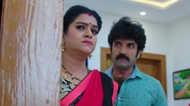 Paape Maa Jeevana Jyothi S01E446 Indumathi's Plan Misfires Full Episode