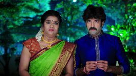 Paape Maa Jeevana Jyothi S01E451 Indumathi, Shambu are Cornered Full Episode