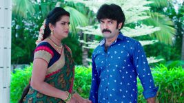 Paape Maa Jeevana Jyothi S01E454 Indumathi Implements Her Plan Full Episode