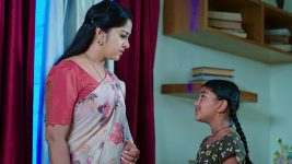 Paape Maa Jeevana Jyothi S01E456 Kutti Is Overwhelmed Full Episode