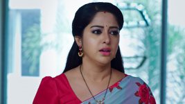 Paape Maa Jeevana Jyothi S01E460 Jyothi in Distress Full Episode