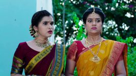 Paape Maa Jeevana Jyothi S01E465 Indumathi, Yamini are Upset Full Episode