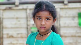 Paape Maa Jeevana Jyothi S01E86 Kutti's Smart Move Full Episode