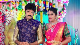 Paape Maa Jeevana Jyothi S01E92 Indumathi, Shambu's Criminal Plan Full Episode