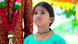 Paape Maa Jeevana Jyothi S01E94 Kutti Saves the Day Full Episode