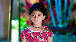 Paape Maa Jeevana Jyothi S01E98 Kutti Is Shattered Full Episode