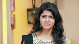 Raja Rani S01E101 Vinodini's Outrage Full Episode