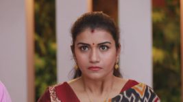 Raja Rani S01E110 Is Archana the Culprit? Full Episode