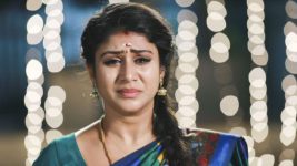 Raja Rani S01E114 Sembaruthi Seeks Forgiveness Full Episode