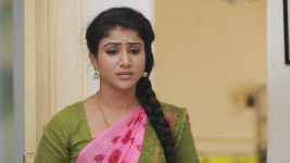 Raja Rani S01E121 Sembaruthi Lies to Karthik Full Episode