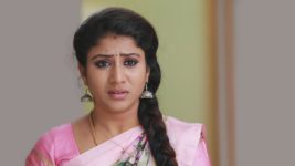 Raja Rani S01E123 Sembaruthi Reveals the Truth Full Episode