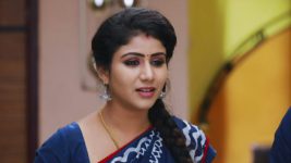 Raja Rani S01E125 Sembaruthi is Anxious Full Episode