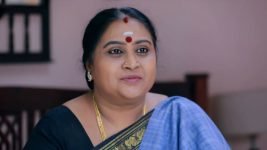 Raja Rani S01E138 Lakshmi Feels Grateful Full Episode