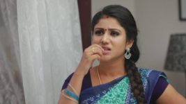 Raja Rani S01E158 Sweet Surprise for Sembaruthi Full Episode