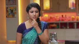 Raja Rani S01E159 Sembaruthi in a Fix Full Episode