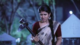 Raja Rani S01E182 Sembaruthi Assaults Sanjay Full Episode