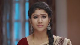 Raja Rani S01E183 Sembaruthi's Brave Effort Full Episode