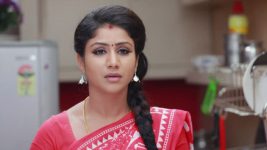 Raja Rani S01E188 Sembaruthi Plans a Trip Full Episode