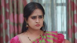 Raja Rani S01E189 Archana, Vadivu at it Again Full Episode