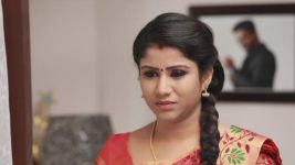 Raja Rani S01E192 Sembaruthi Is Unhappy Full Episode