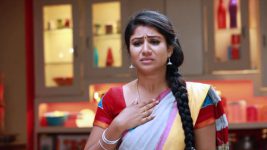 Raja Rani S01E216 Sembaruthi and Karthik Split? Full Episode