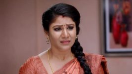 Raja Rani S01E221 Archana Humiliates Semba Full Episode