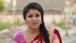 Raja Rani S01E234 Semba in Search of Karthik Full Episode