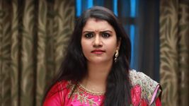 Raja Rani S01E245 Archana's Outrage Full Episode