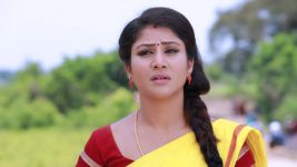 Raja Rani S01E247 Semba Faces Nethi-kadan Full Episode