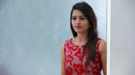 Raja Rani S01E260 Divya's Plan to Trap Semba Full Episode