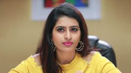 Raja Rani S01E261 Divya's Vengeful Plot Full Episode