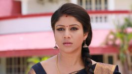 Raja Rani S01E282 Semba Feels Insecure Full Episode