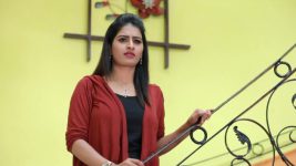 Raja Rani S01E283 Divya Envies Semba Full Episode