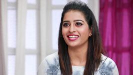 Raja Rani S01E285 Divya on Cloud Nine Full Episode