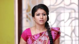 Raja Rani S01E289 Semba Hits Back Full Episode