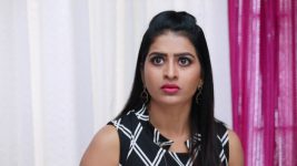 Raja Rani S01E292 Semba Outsmarts Divya Full Episode