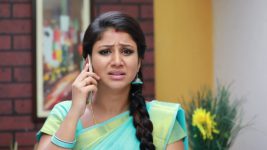 Raja Rani S01E307 A Shocker for Semba Full Episode