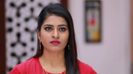 Raja Rani S01E314 Divya's Treacherous Plan Full Episode