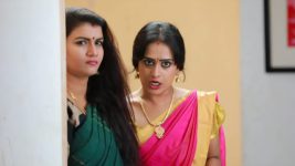 Raja Rani S01E323 Archana, Vadivu's Failed Plans Full Episode