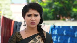 Raja Rani S01E334 Semba's Nightmares Full Episode