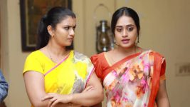 Raja Rani S01E368 Archana, Vadivu Create a Scene Full Episode