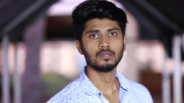 Raja Rani S01E372 Harish in Search of Vinodhini Full Episode