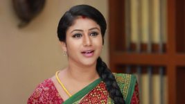 Raja Rani S01E382 Semba's New Business Idea Full Episode