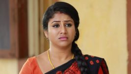 Raja Rani S01E385 Semba to Help Kayal Full Episode