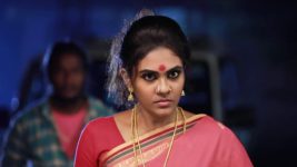 Raja Rani S01E415 Swarna Plans to Attack Vikram Full Episode