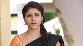 Raja Rani S01E417 A Warning for Semba Full Episode