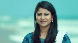 Raja Rani S01E428 Semba Is Happy Full Episode