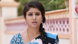 Raja Rani S01E437 A Shocker for Semba Full Episode