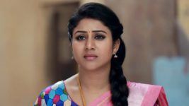 Raja Rani S01E460 Semba Confronts Archana Full Episode